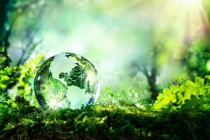 Socially Conscious Companies