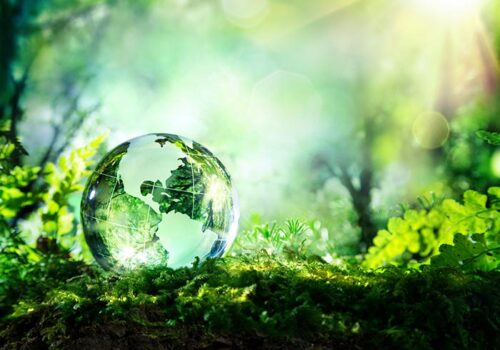 Socially Conscious Companies