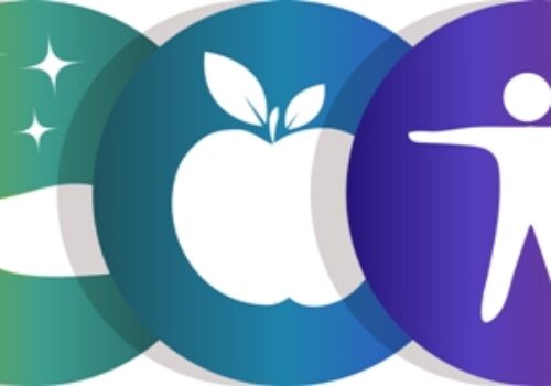 Wellness Challenges and the Workplace: What Works?