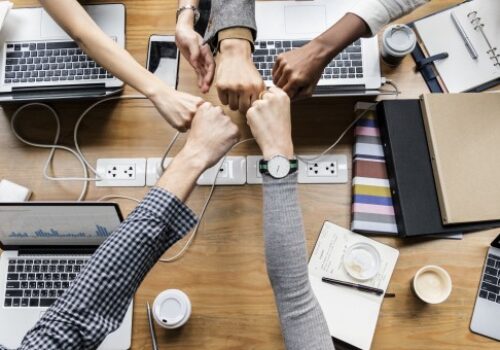Single, Quarterly and 12-month Employee Challenges