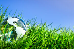 Getting Your Employees Involved in Social Impact: Sustainability
