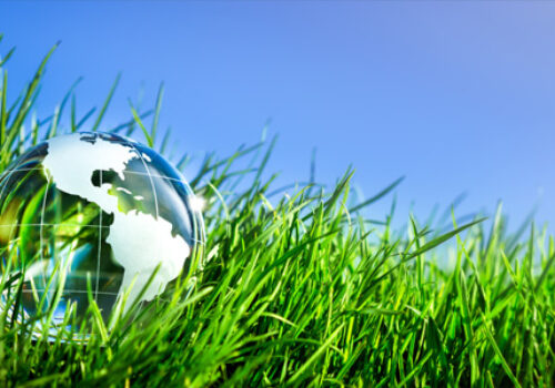 Getting Your Employees Involved in Social Impact: Sustainability
