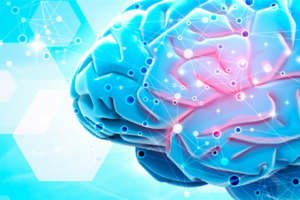 Mental Wellness and Campaign Ideas