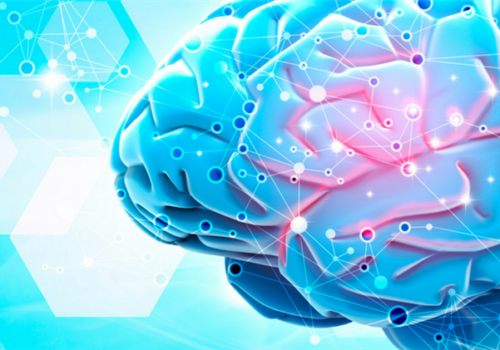 Mental Wellness and Campaign Ideas