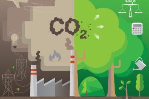 What is trending in CSR?