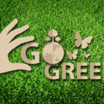 How To Set Up A Green Challenge For Your Company