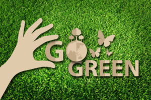 How To Set Up A Green Challenge For Your Company