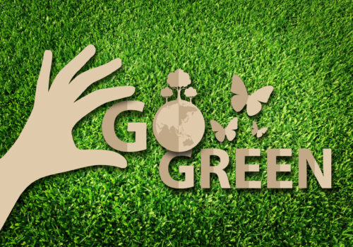 How To Set Up A Green Challenge For Your Company