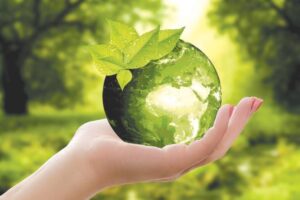 CSR Engagement & Participation