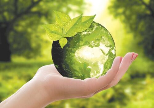 CSR Engagement & Participation