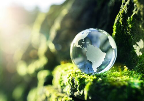 ESG for Small Businesses