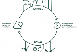 How Carbon Offsetting Works
