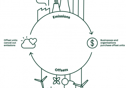 How Carbon Offsetting Works