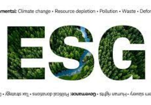 S in ESG and the H in ESHG