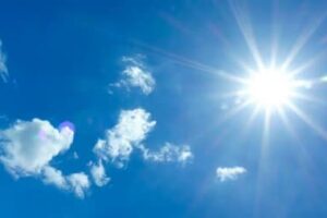 Summer Ideas for You to Go Green