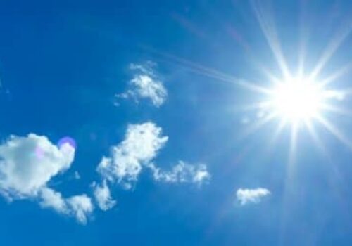 Summer Ideas for You to Go Green