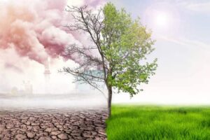 What are the current climate targets?