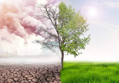 What are the current climate targets?